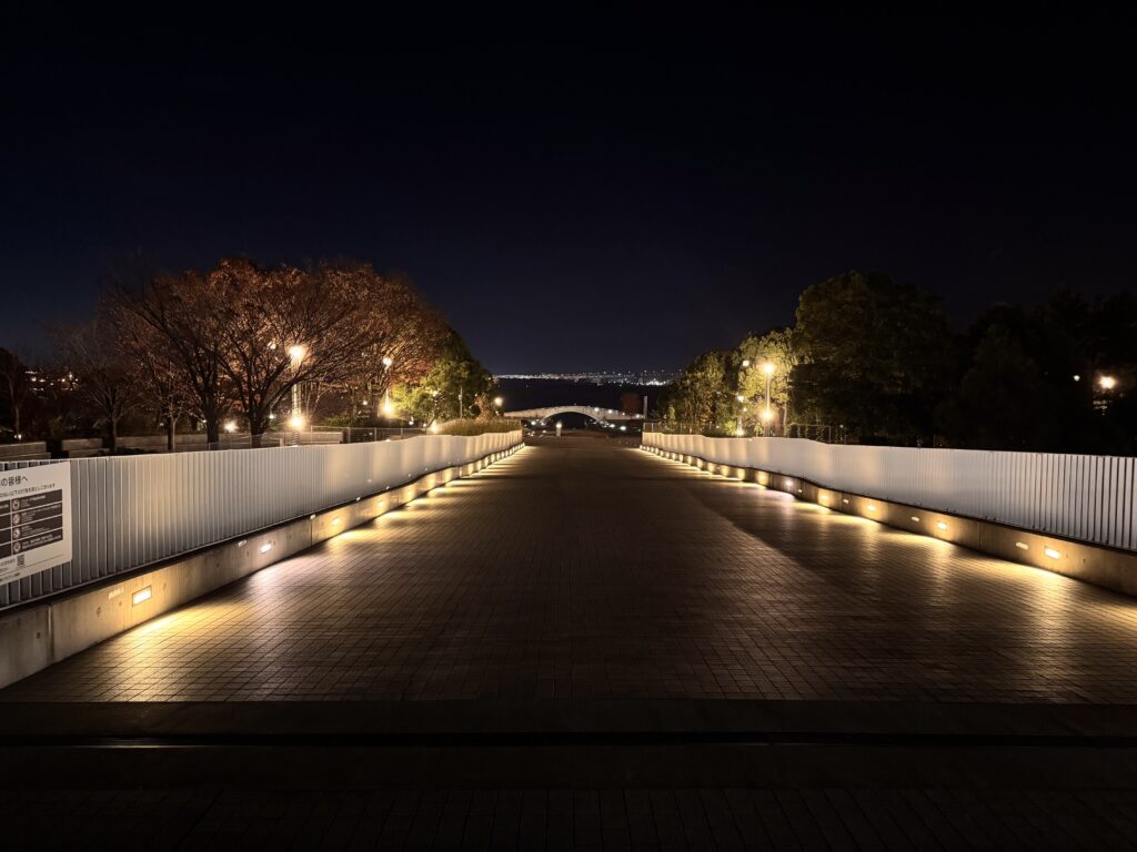 夜の一本道を街灯と奥へ続く道が人生の歩みと未来の希望を表現した風景