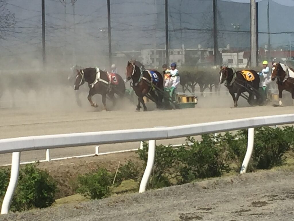 帯広ばんえい競馬のレース風景