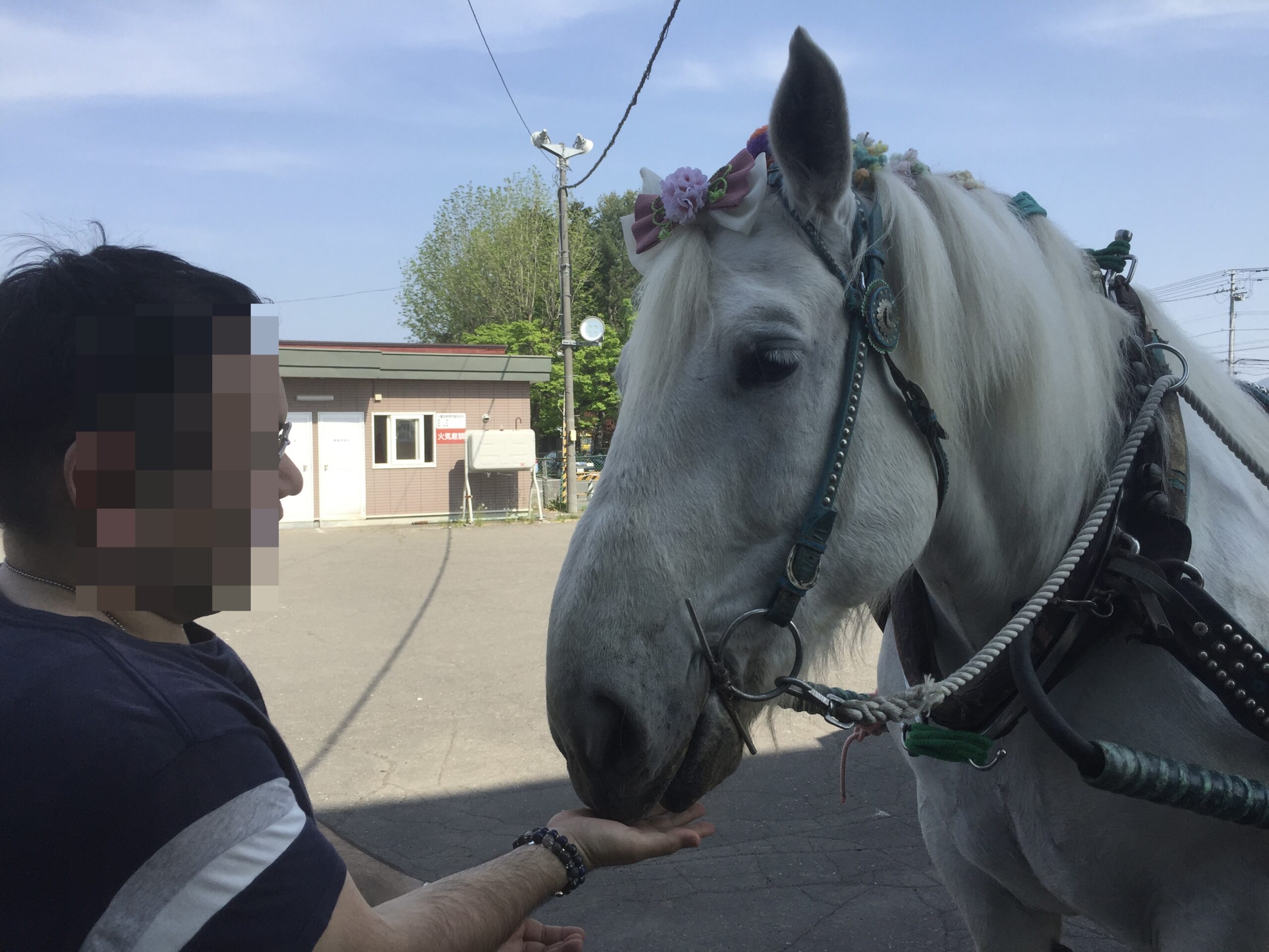 人生に影響を与えたアニメと北海道の話