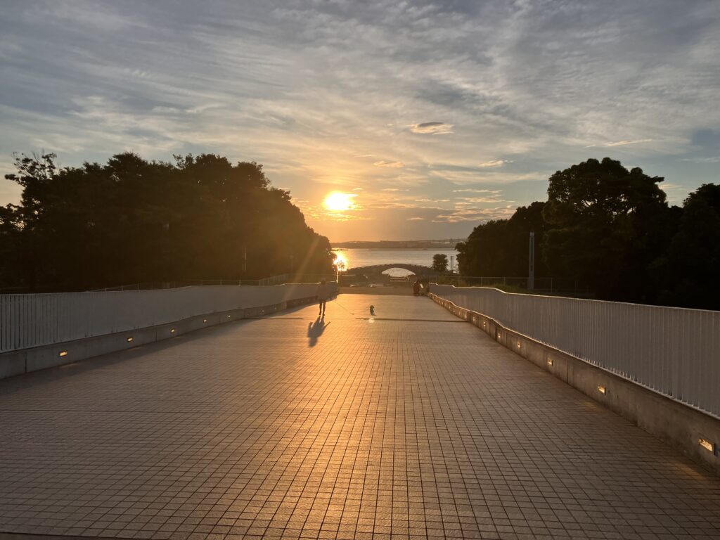 横浜の夕暮れ。「会いたい人には会えるうちに会いに行く」という想いを重ねた風景。