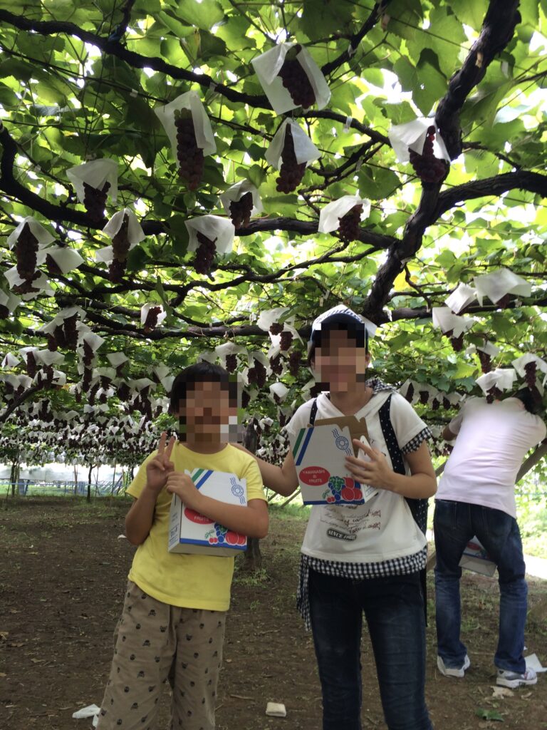 子どもたちとぶどう狩りを楽しんだ夏の思い出。ボーナスでつくった大切な家族との時間